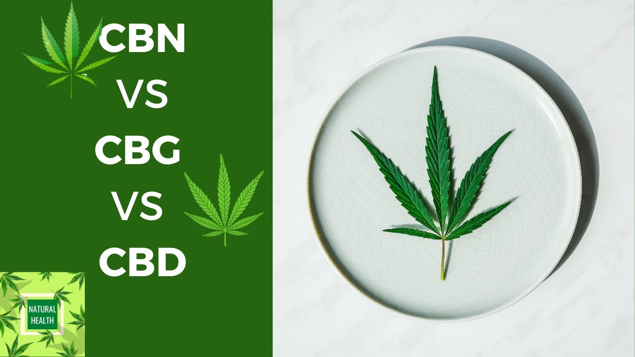 What Is CBN Vs CBG Vs CBD | What Is The Difference Between CBN CBG CBD ...